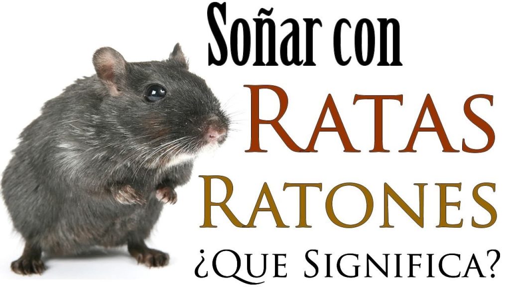 que significa sonar con ratas y ratones