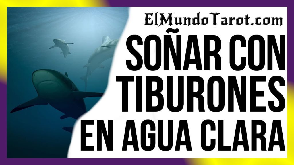 que significa sonar con tiburones en agua clara