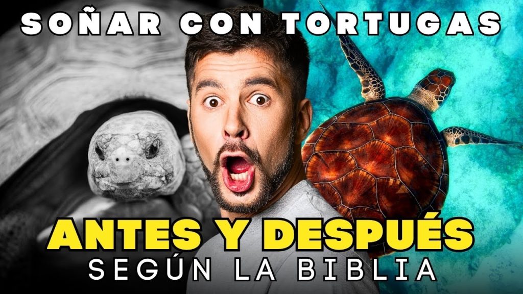 que significa sonar con tortugas segun la biblia