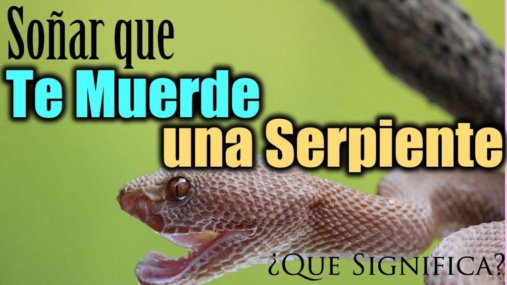 significado de sonar con serpientes que te muerden