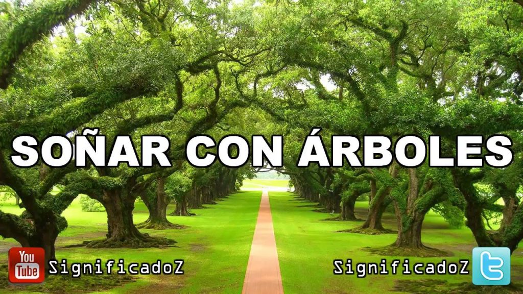 sonar con Arboles