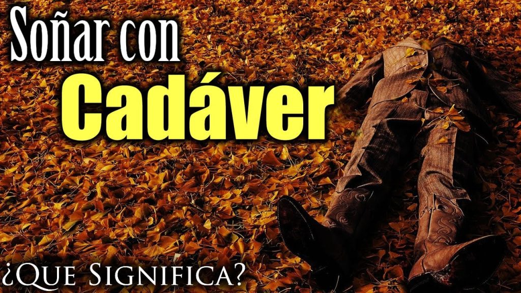 sonar con cadaver