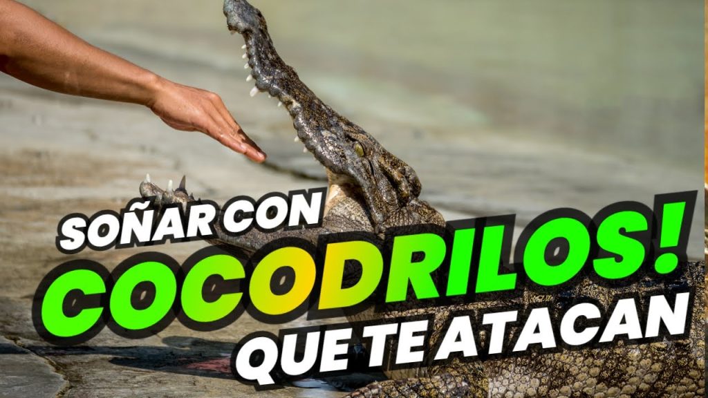 sonar con cocodrilos que te atacan