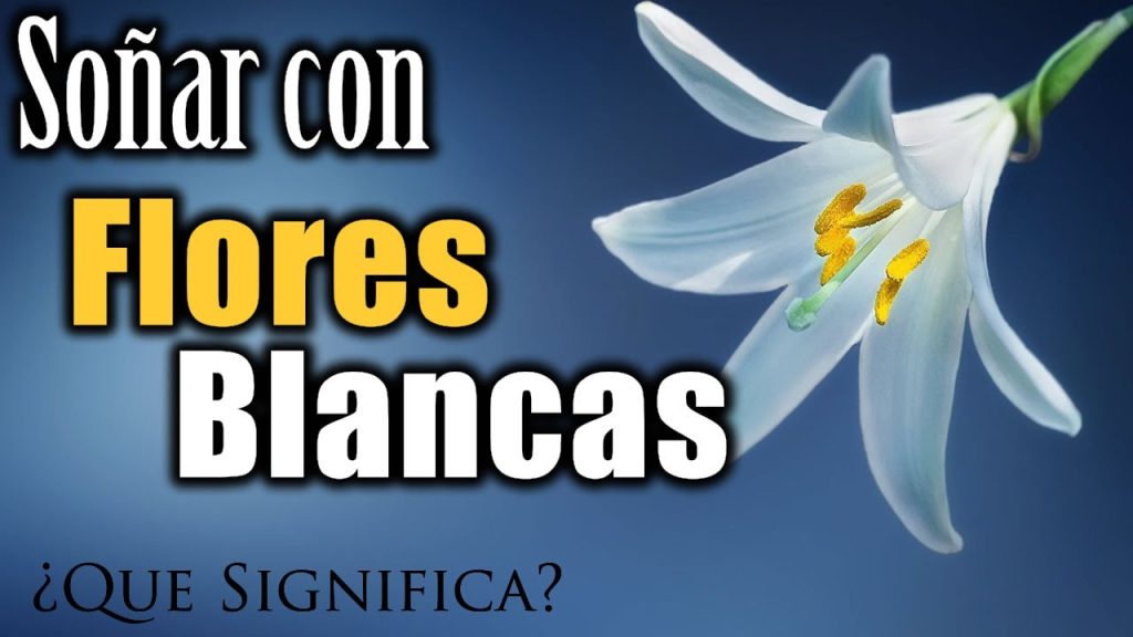 sonar con flores blancas