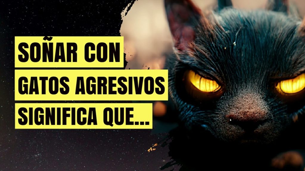 sonar con gatos agresivos