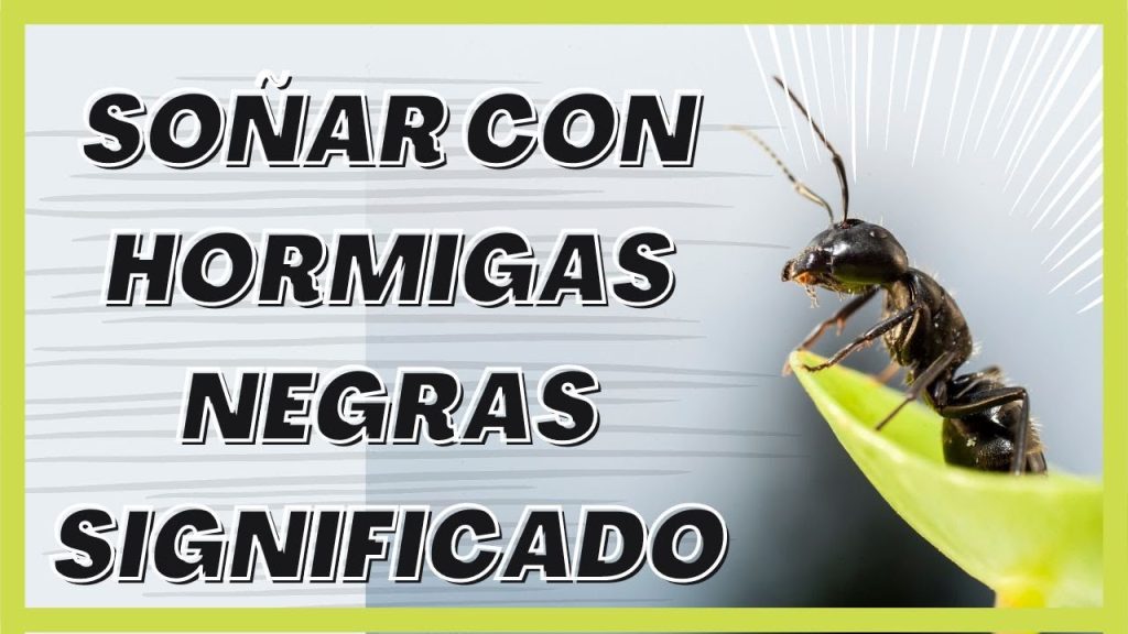 sonar con hormigas negras en el cuerpo