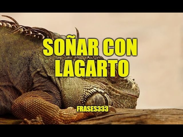 sonar con lagarto