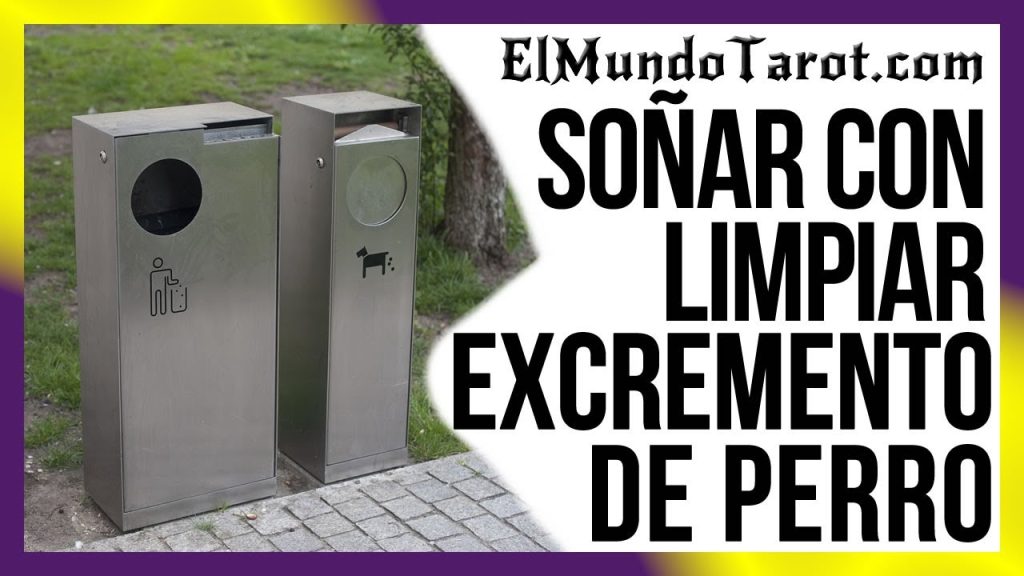 sonar con limpiar excremento de perro