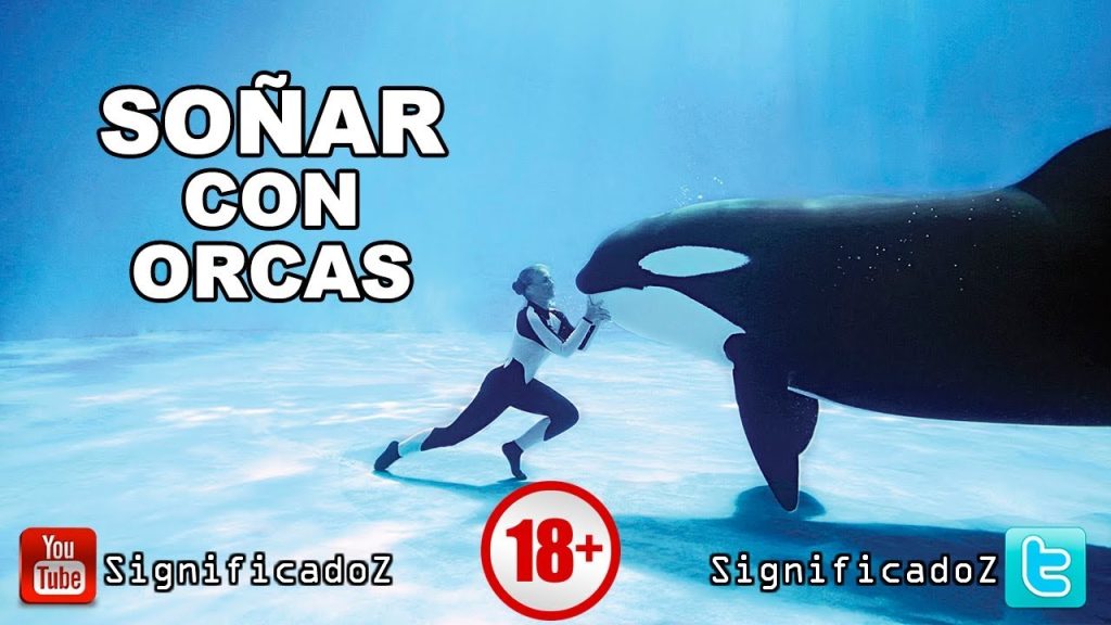 sonar con orcas