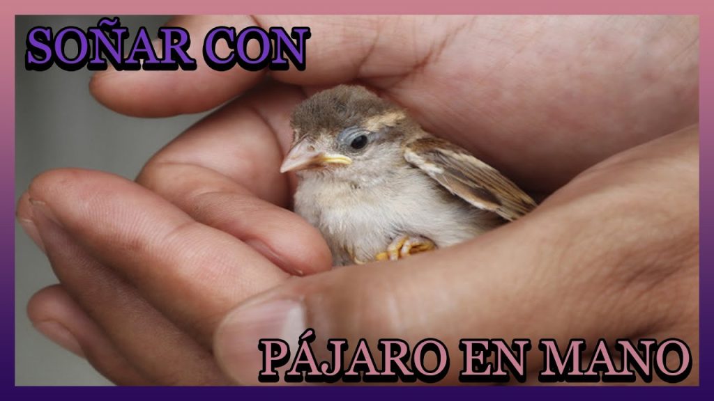 sonar con pajaros en la mano