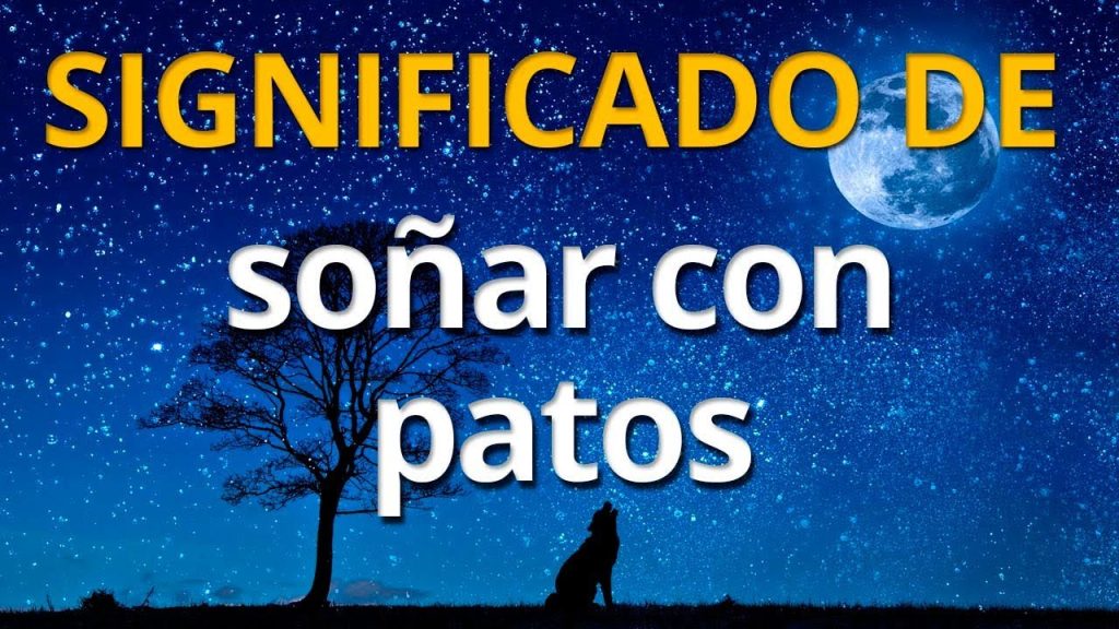 sonar con patos