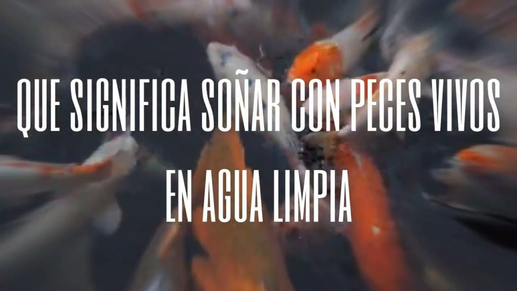 sonar con peces vivos en agua limpia