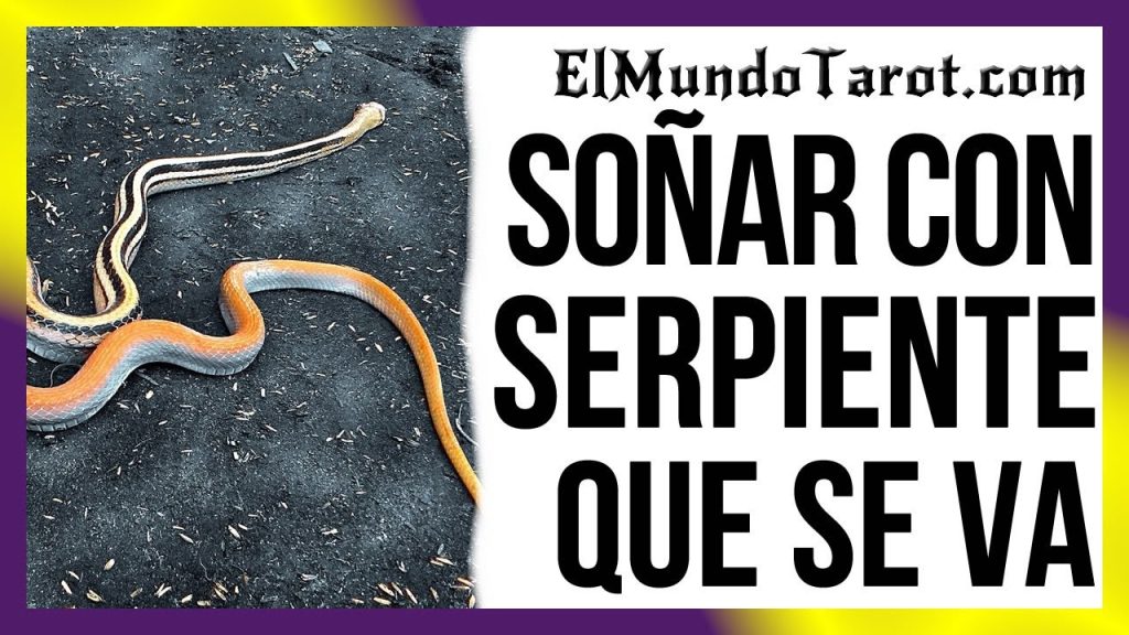 sonar con serpiente que se va