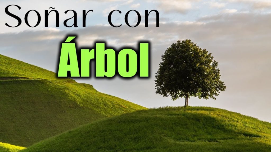 sonar con un Arbol