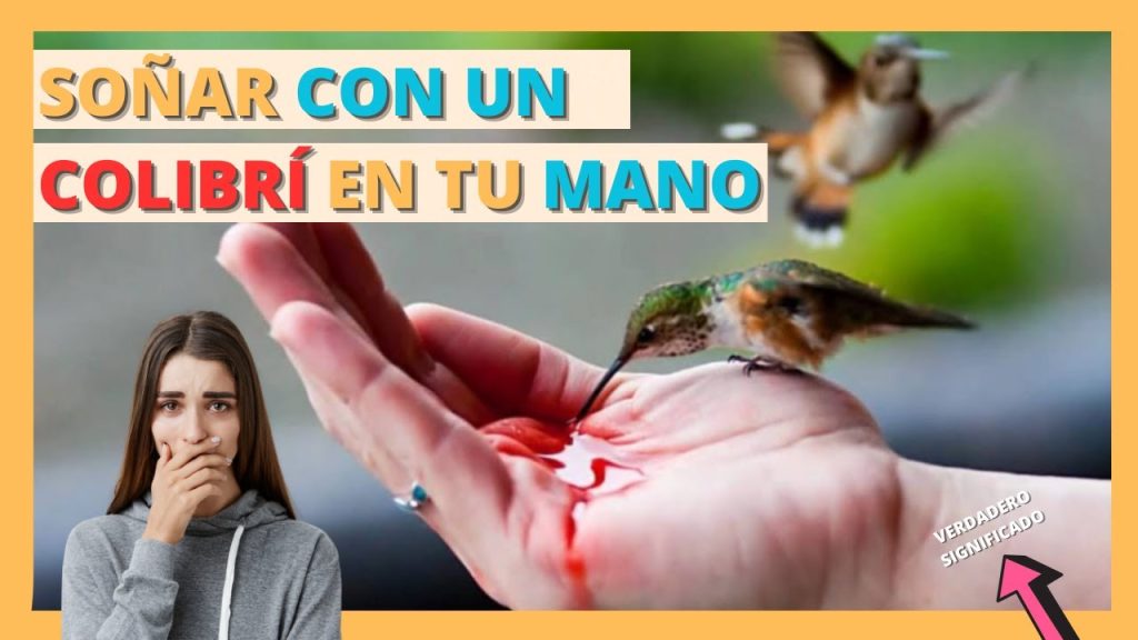 sonar con un colibri en la mano